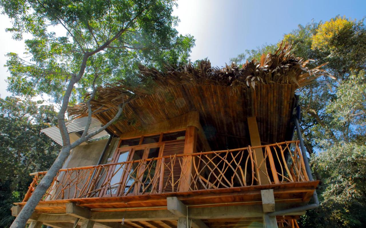 The Winsome & Tree House Bed and Breakfast Ella Εξωτερικό φωτογραφία